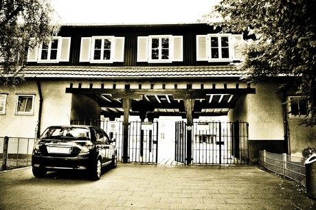 vogelsang