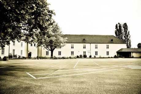 vogelsang