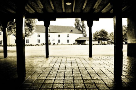 vogelsang