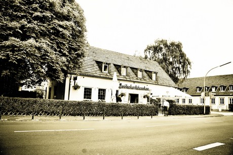vogelsang