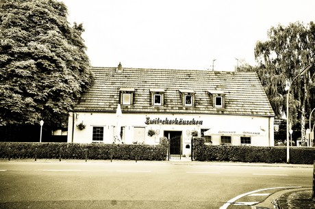 vogelsang