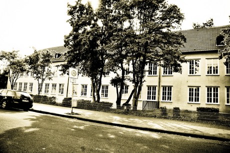 vogelsang