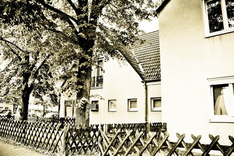 vogelsang