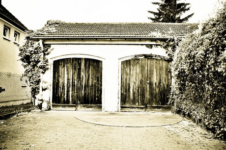 vogelsang