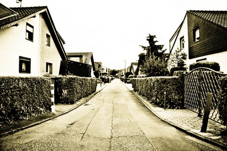 vogelsang