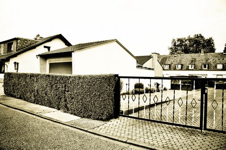 vogelsang