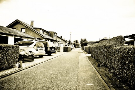 vogelsang
