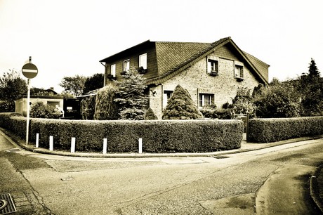 vogelsang