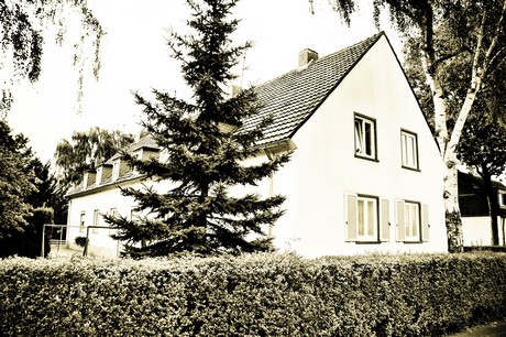 vogelsang