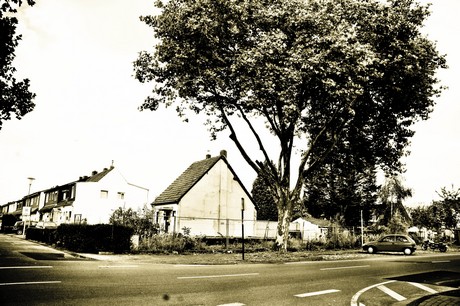 vogelsang