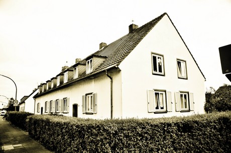 vogelsang