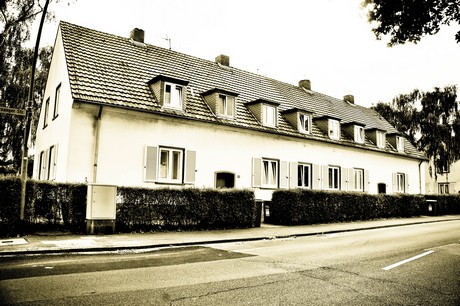 vogelsang
