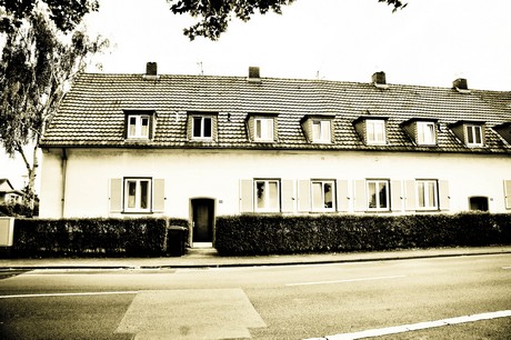 vogelsang