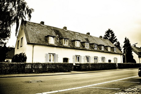 vogelsang
