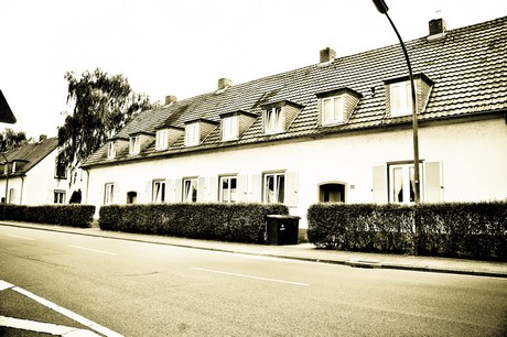 vogelsang