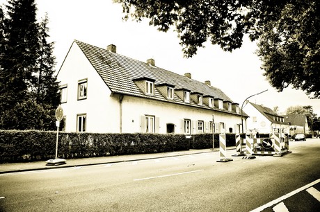 vogelsang