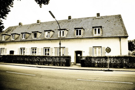 vogelsang