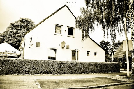 vogelsang