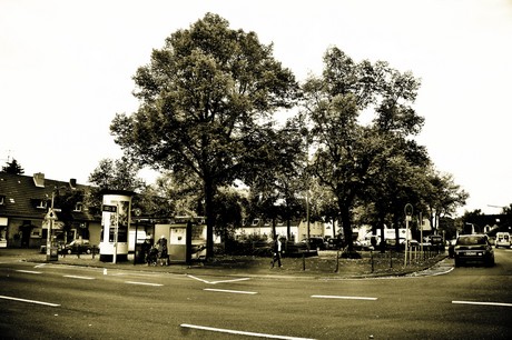vogelsang