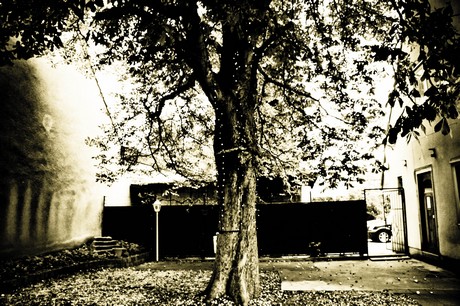 vogelsang