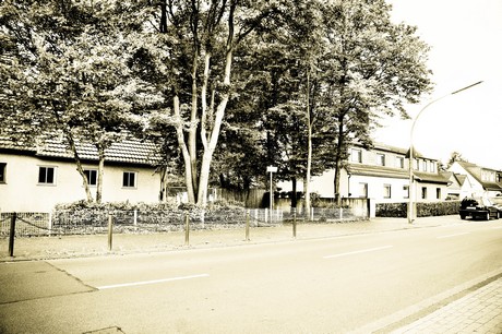 vogelsang