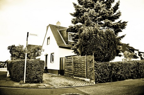 vogelsang