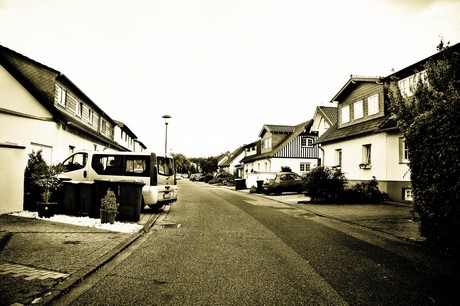 vogelsang