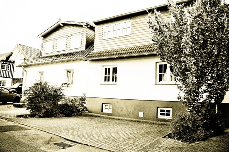 vogelsang