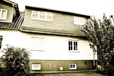 vogelsang