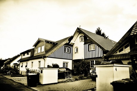 vogelsang