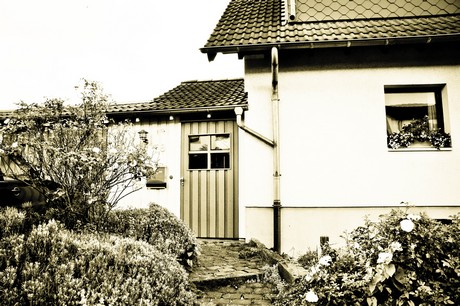 vogelsang