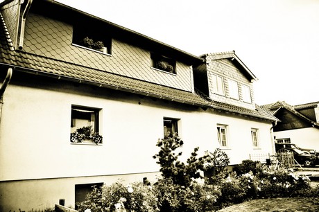 vogelsang