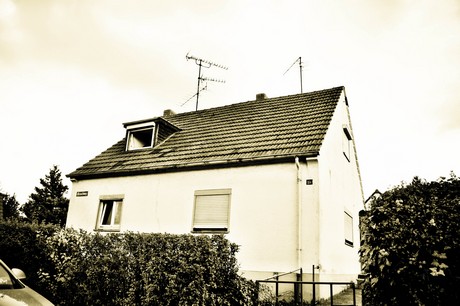 vogelsang