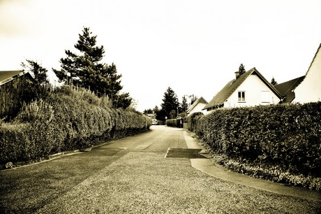 vogelsang
