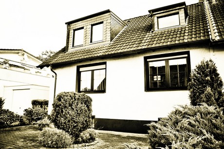 vogelsang
