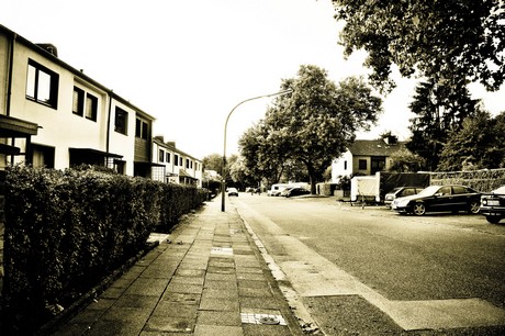 vogelsang