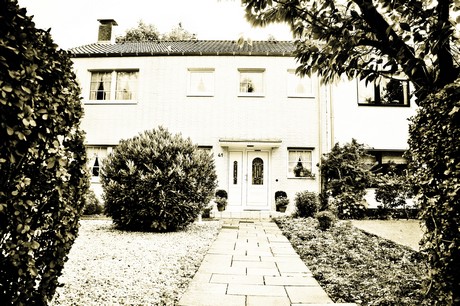 vogelsang