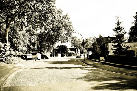 vogelsang