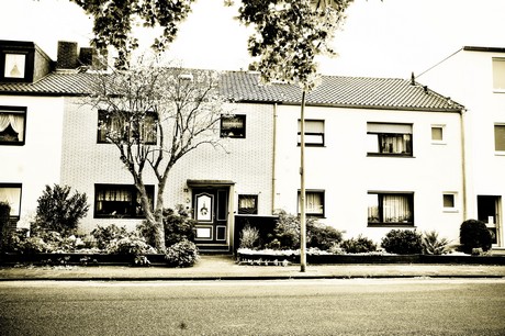 vogelsang