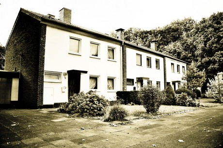 vogelsang