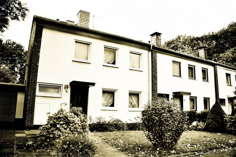 vogelsang