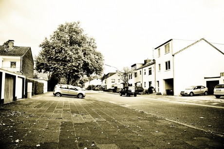 vogelsang