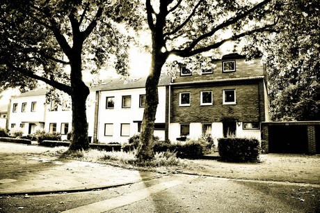 vogelsang
