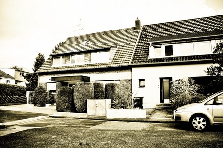 vogelsang
