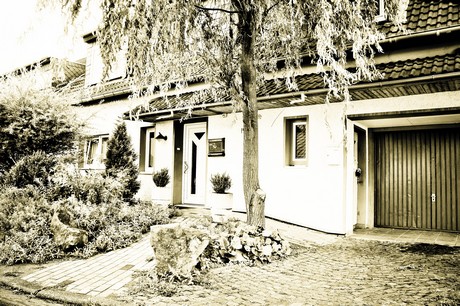 vogelsang