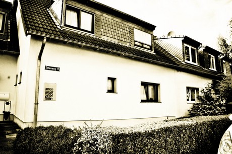 vogelsang