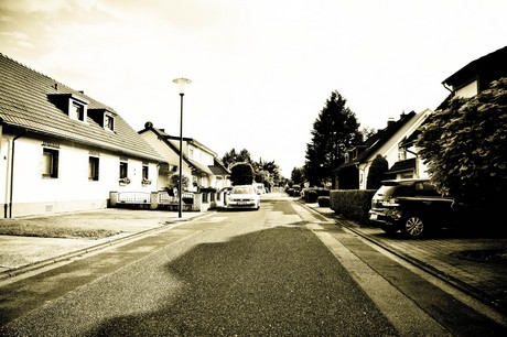 vogelsang