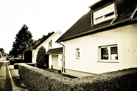 vogelsang
