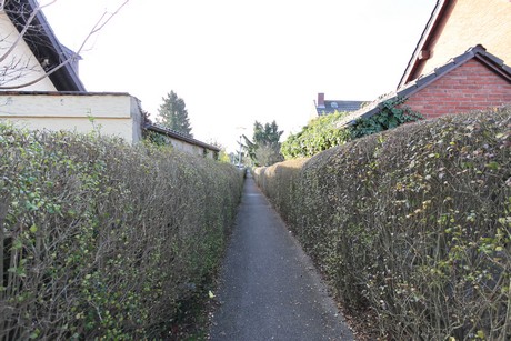 vogelsang