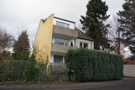 weiden
